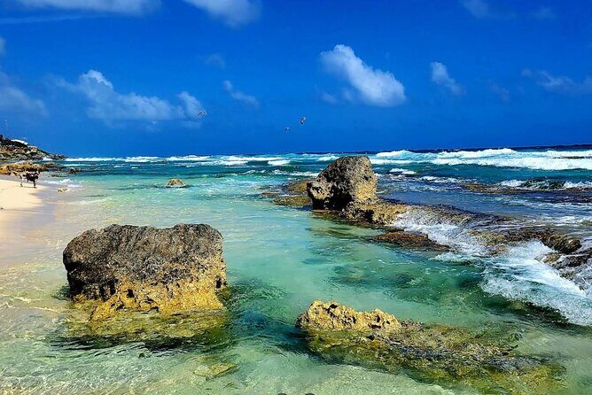 Private Tour of Cozumel in your own way Groups up to 4 People - The Sum Up