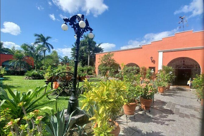 Private Tour of Cozumel in your own way Groups up to 6 People - Is It Worth the Price?