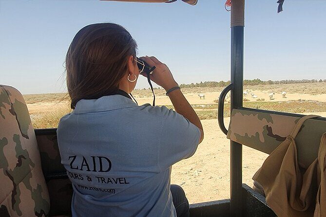 Private Tour of Desert Castles Eastern Jordan with optional Azraq Wetland Visit - An In-Depth Look at the Desert Castles Tour