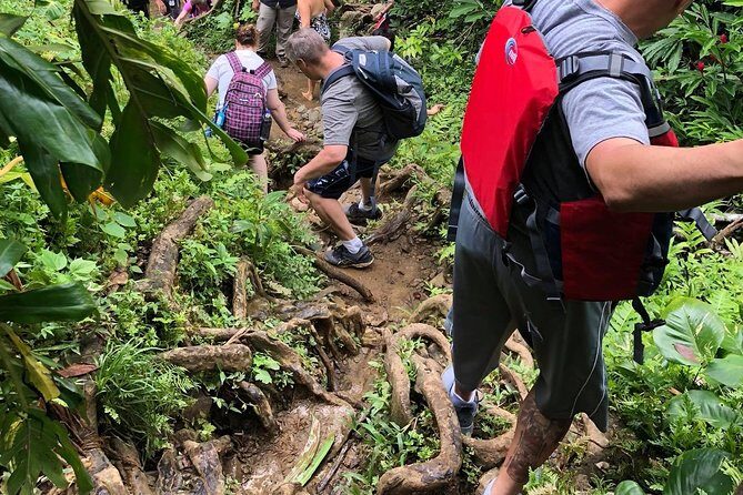Private Tour of El Yunque Rainforest from San Juan - The Convenience of Private Transportation and Customized Experience