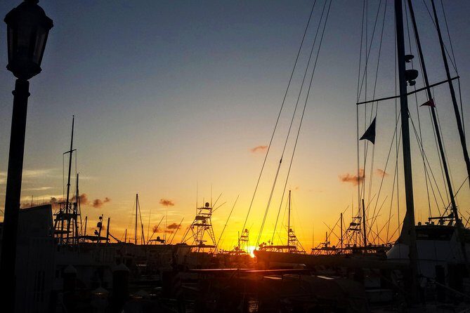 Private Tour of Florida Keys from Marathon to Key West - The Experience’s Strengths and Considerations
