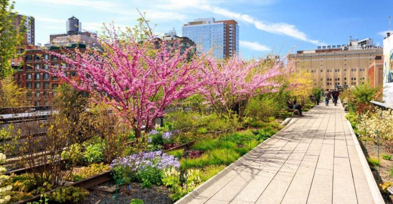 Private Tour of High Line, Chelsea, Hudson Yards and Edge - FAQ