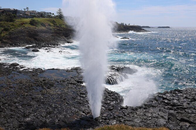 Private tour of Kiama Blowholes, Sea Cliff Bridge and Wattamolla - What to Expect from the Tour: A Step-by-Step Breakdown