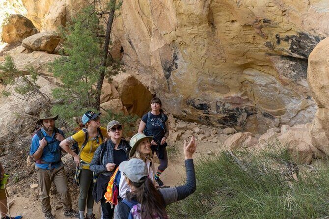 Private Tour of Mesa Verde With an Archeologist-Trained Guide - The Sum Up
