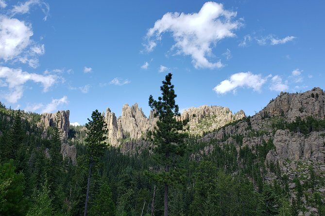 Private Tour of Mount Rushmore, Crazy Horse and Custer State Park - Why Choose This Tour?