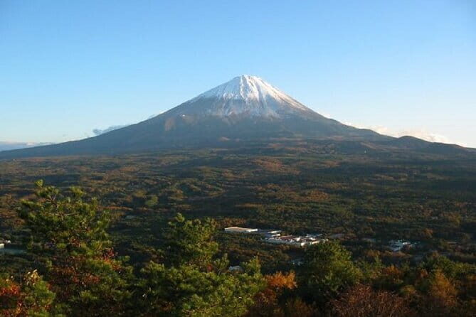 Private Tour of Mt. Fuji Culture and Nature Walk - Final Thoughts: Who Will Love This Tour?