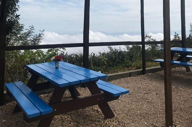 Private Tour of Port Au Prince area - An In-Depth Look at the Tour Itinerary