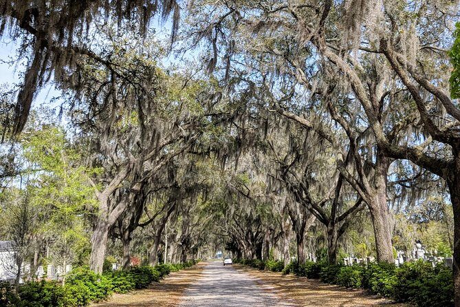 Private Tour of Savannah's Historic/Victorian Districts & Bonaventure Cemetery - The Practical Side