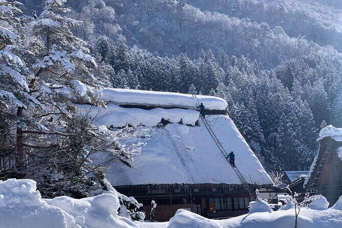Private Tour of Shirakawago from Kanazawa (Half Day) - Who Will Benefit Most from This Tour?