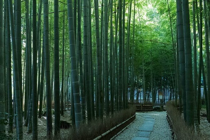 Private Tour of the Ancient Capital Kamakura from Tokyo - The Sum Up: Who Will Love This Tour?