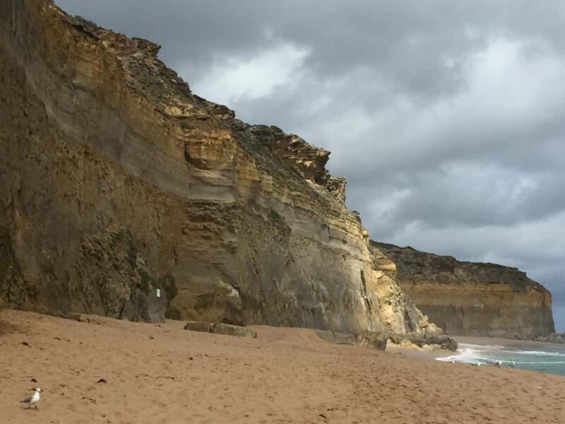 Private Tour of the Great Ocean Road & 12 Apostles - Why This Tour Stands Out