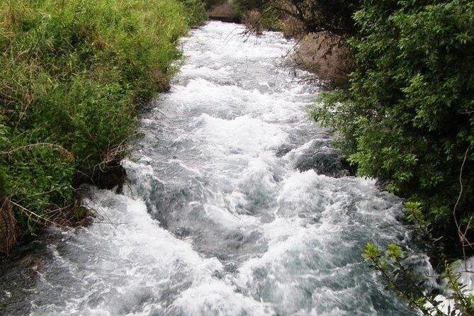 Private tour of the Israeli Far North - Tel Dan, Banias Reserve & Waterfall - Key Points