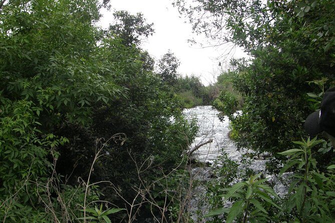 Private tour of the Israeli Far North - Tel Dan, Banias Reserve & Waterfall - Final Thoughts