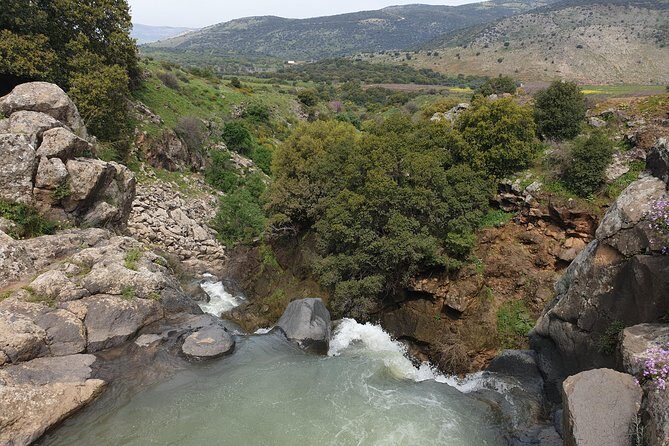 Private tour of the Israeli Far North - Tel Dan, Banias Reserve & Waterfall - FAQ: Your Practical Questions Answered