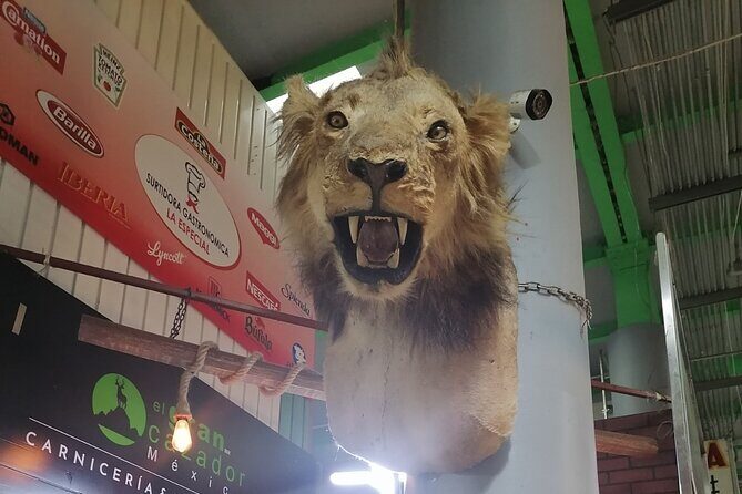 Private Tour of the Market Routes of Mexico City - A Detailed Look at the Market Tour Experience