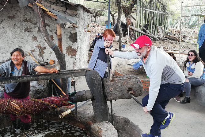 Private Tour of the Mezcal Route with Ancestral Drinks - Key Points