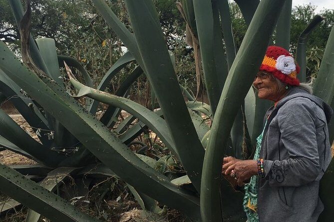 Private Tour of the Mezcal Route with Ancestral Drinks - Visual and Environmental Highlights