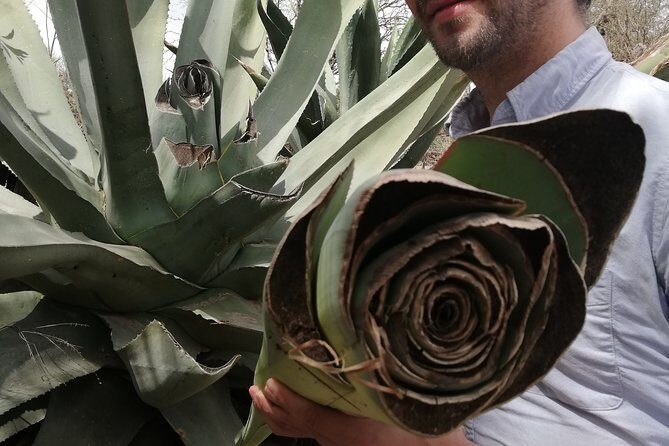 Private Tour of the Mezcal Route with Ancestral Drinks - Authenticity and Cultural Connection