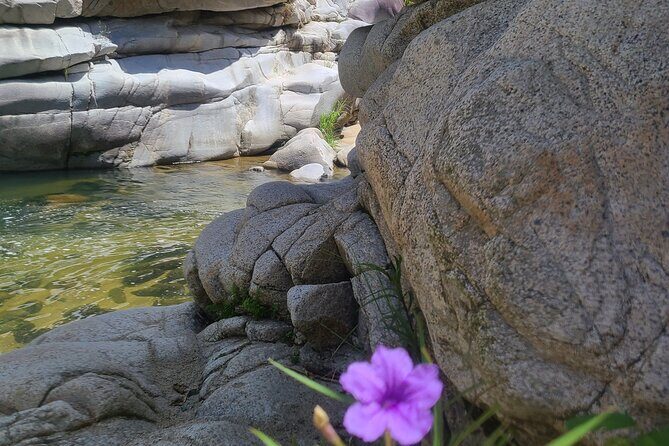 Private Tour of the White Canyon Ancestral Route in Utuado - Who Would Love This Tour?