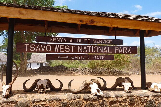 Private Tour of Tsavo East National Park from Mombasa - A Detailed Look at the Tour