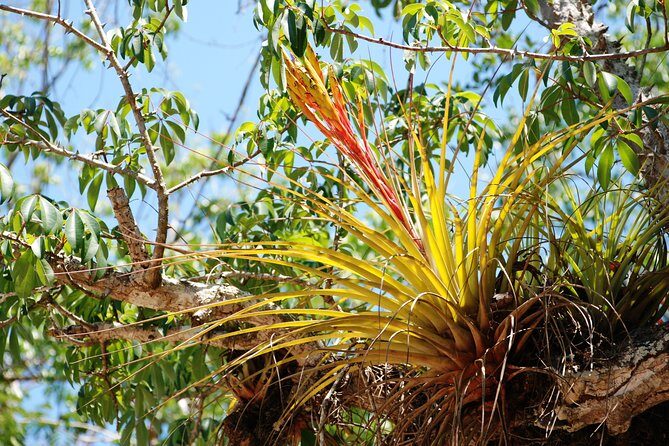 Private tour of Tulum Archaeological Site & Sian Ka'an Muyil - FAQs about the Tulum & Sian Kaan Muyil Private Tour