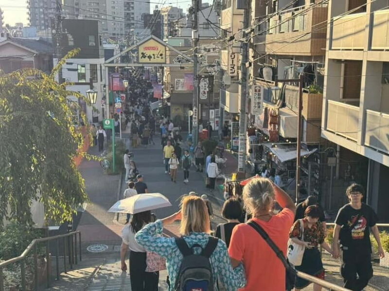 Private Tour : Old Tokyo Cultural Walk in Yanaka and Nezu - FAQ