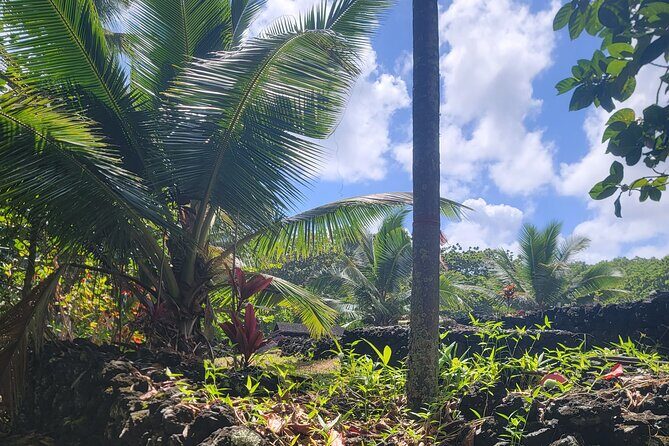 Private Tour on Maui with Luxury Mercedes S-Class - The Cost and Its Value