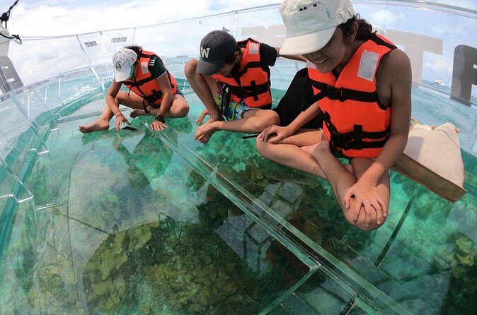 Private tour on transparent boat Cancun Nichupté lagoon - Who Will Love This Tour?