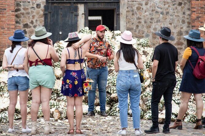 Private Tour one day of Adventure in Tequila and Orendain Tequila - Key Points