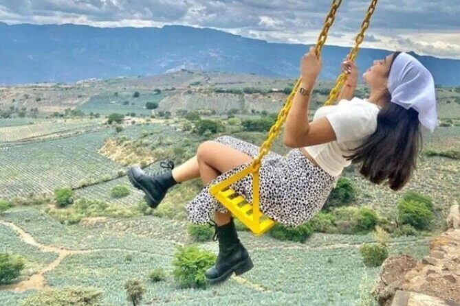 Private Tour one day of Adventure in Tequila and Orendain Tequila - Who Will Love This Tour?