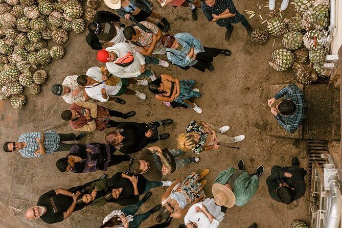 Private Tour one day of Adventure in Tequila and Tequilera Cascahuin - A Deep Dive into the Experience