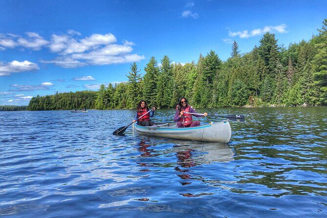 Private Tour or Private Transportation From Toronto Anywhere - Authenticity and the Experience of the Guide