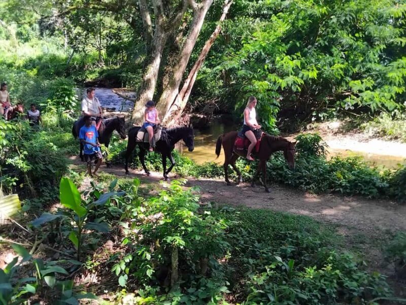 Private Tour: Pacific's Largest Dunes & Famous Waterfall - Insights from Travelers’ Experiences
