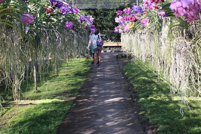 Private tour] Perfect day! Sticky waterfall + ChiangDao Cave + Wat BandenTemple - The Sum Up