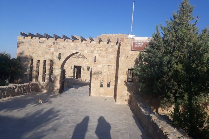 Private Tour Petra and Shobak Castle from Amman - Assessing the Value