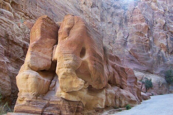 Private Tour: Petra and Wadi Rum Day Trip from Dead Sea - Key Points