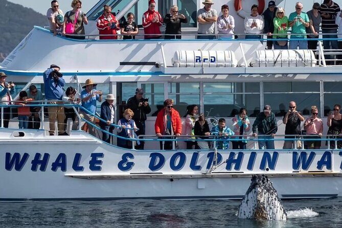 Private tour: Port Stephens, departing Newcastle - Whales! - Why This Tour Is Worth Considering