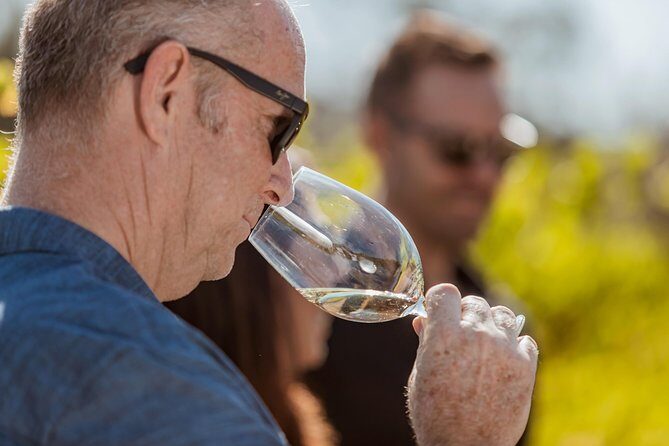 Private Tour: Premium Swan Valley Wine Tour from Perth - Who Should Consider This Tour?