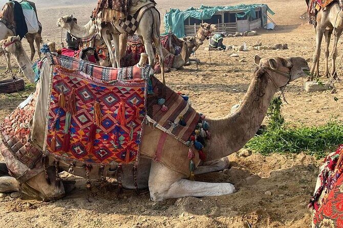 Private tour Pyramids of Giza - The Value of This Tour
