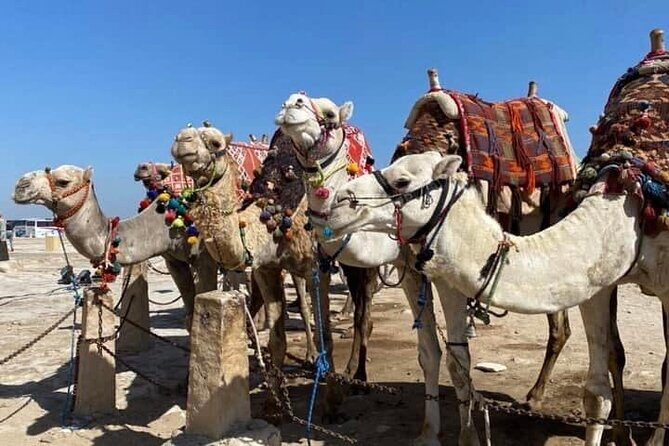 Private tour Pyramids of Giza - FAQ