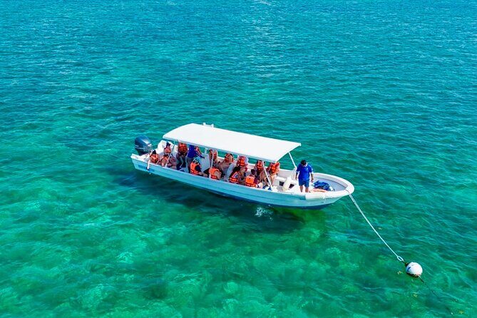Private Tour Reefs and Corals Puerto Morelos Snorkel Lunch - Exploring the Puerto Morelos Reefs and Corals Tour in Detail