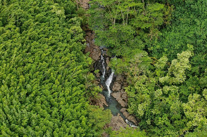 Private Tour Road to Hana Tour from Maui - Keanae Point and Coastal Views
