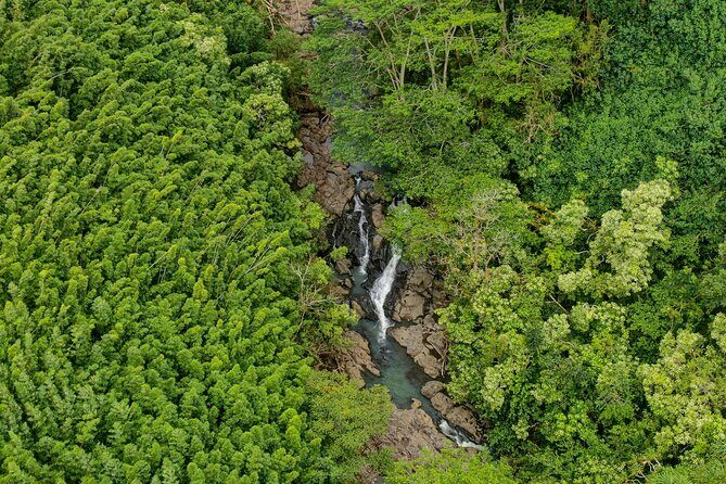 Private Tour Road to Hana Tour from Maui - The Town of Paia: A Bohemian Finish