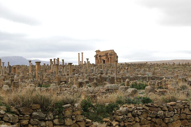 Private Tour Roman Ruins Timgad and Medracen Lunch Included - Who This Tour Is Best For