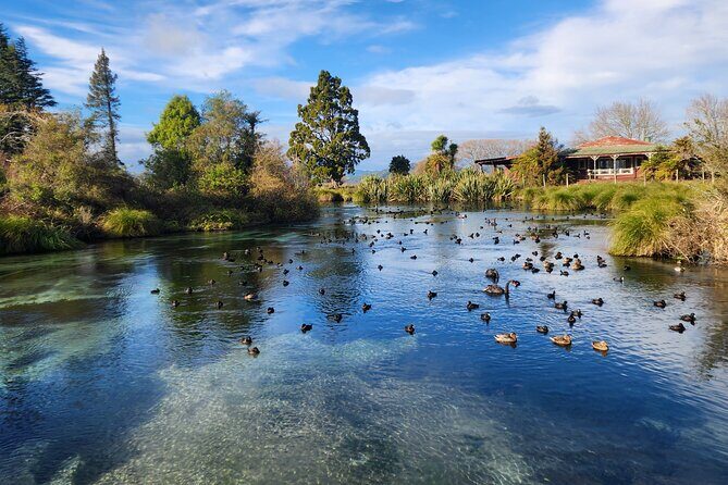 Private Tour Rotorua + Blue springs + WaiOtapu + Redwood forest - Introduction