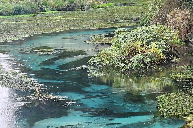 Private Tour Rotorua + Blue springs + WaiOtapu + Redwood forest - Key Points