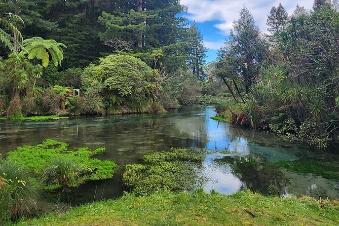 Private Tour Rotorua + Blue springs + WaiOtapu + Redwood forest - Who Is This Tour Best For?
