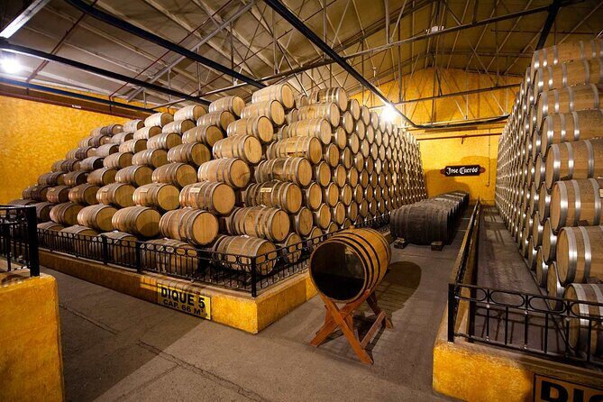 Private Tour Route Elaboration of Tequila in Guadalajara - The Mirador Tequila and Extreme Swing: A Fun Finish