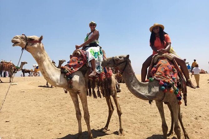Private Tour Royal mummies Civilization Museum& Giza pyramids - Introduction: What to Expect from This Cairo Tour