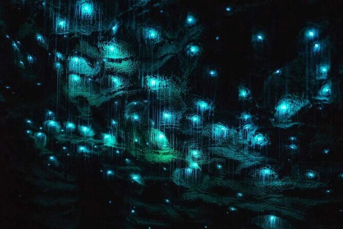 Private Tour: Ruakuri Cave, Waitomo Glowworm & Hobbiton Movie Set - An Engaging Look at the Itinerary